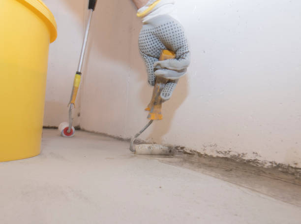 Best Fumigation Services  in Prairie Village, KS